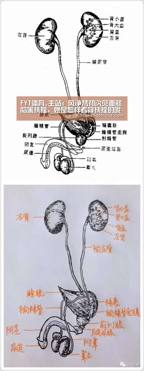 FYT体育.主站:风净梵初次见面就陷害扶摇,她是怎样看穿扶摇的呢?(图1) FIFA World Cup 2026