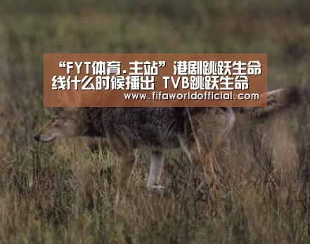 “FYT体育.主站”港剧跳跃生命线什么时候播出 TVB跳跃生命线哪个台可以看(图1) FIFA World Cup 2026