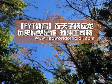 【FYT体育】夜天子杨应龙历史原型是谁 播州土司杨应龙叛乱被灭门(图2) FIFA World Cup 2026