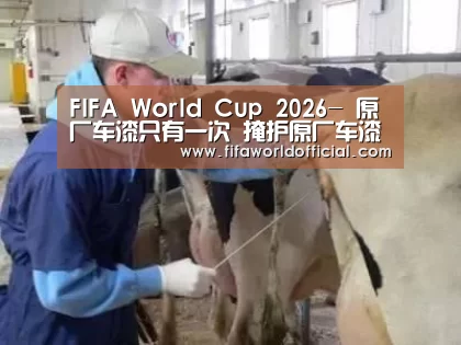 FIFA World Cup 2026-
原厂车漆只有一次 掩护原厂车漆刻不容缓(图2) FYT体育