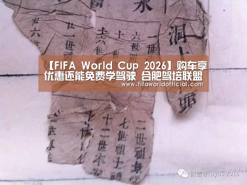 【FIFA World Cup 2026】购车享优惠还能免费学驾驶 合肥驾培联盟首届大型品牌车展亮相(图2) FYT体育.主站
