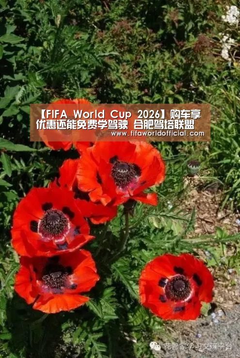 【FIFA World Cup 2026】购车享优惠还能免费学驾驶 合肥驾培联盟首届大型品牌车展亮相(图1) FYT体育.主站