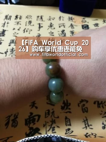 【FIFA World Cup 2026】购车享优惠还能免费学驾驶 合肥驾培联盟首届大型品牌车展亮相(图4) FYT体育