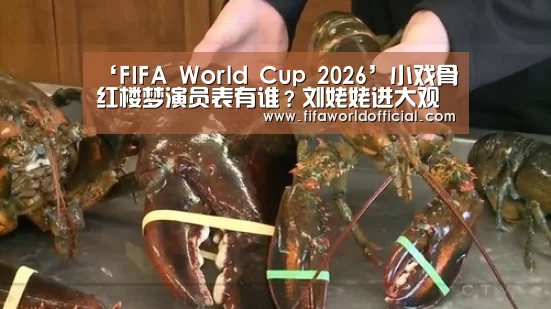 ‘FIFA World Cup 2026’小戏骨红楼梦演员表有谁?刘姥姥进大观园演员名单(图2) FYT体育