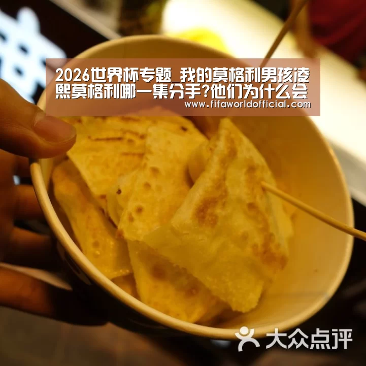 2026世界杯专题_我的莫格利男孩凌熙莫格利哪一集分手?他们为什么会分手?(图3) FYT体育