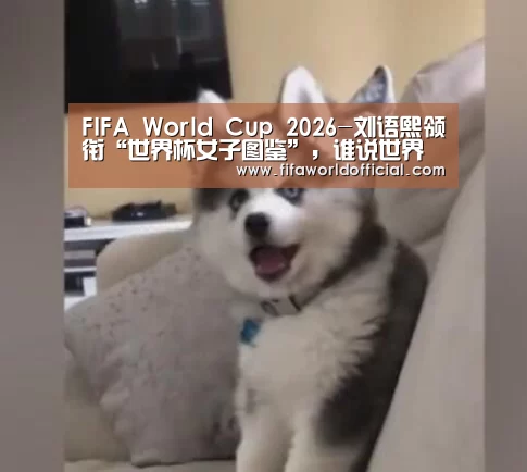 FIFA World Cup 2026-刘语熙领衔“世界杯女子图鉴”,谁说世界杯是男生的主场(图3) FYT体育