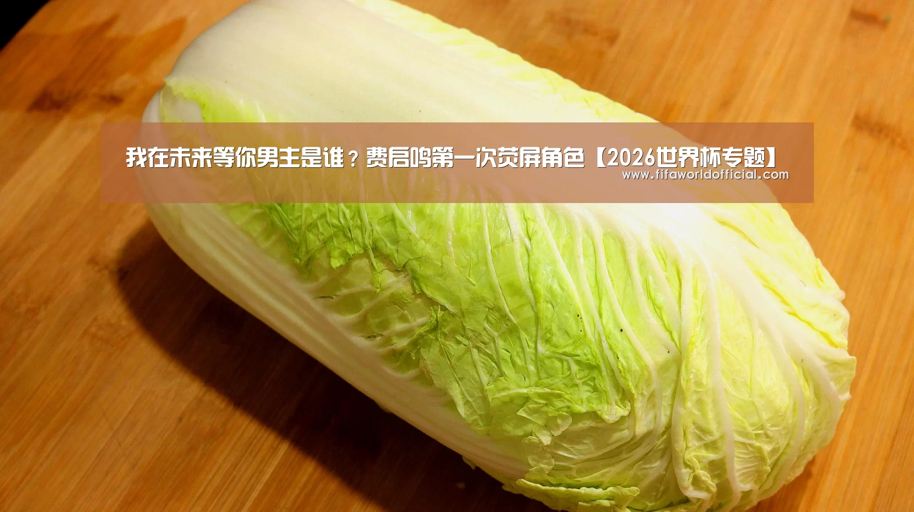 我在未来等你男主是谁?费启鸣第一次荧屏角色【2026世界杯专题】(图2) FYT体育