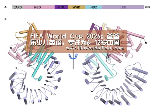 FIFA World Cup 2026:爸爸乐少儿英语,专注为6-12岁中国儿童提供英语学习方法(图2) FIFA World Cup 2026