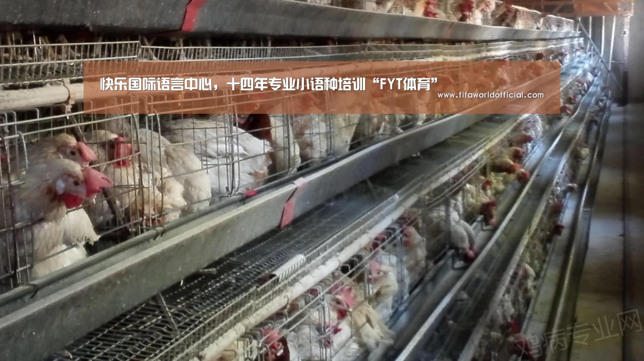 快乐国际语言中心,十四年专业小语种培训“FYT体育”(图1) FIFA World Cup 2026