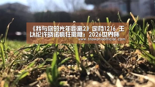 《我与你的光年距离2》定档1216 王以纶许晓诺疯狂撒糖:2026世界杯专题(图2) FYT体育.主站
